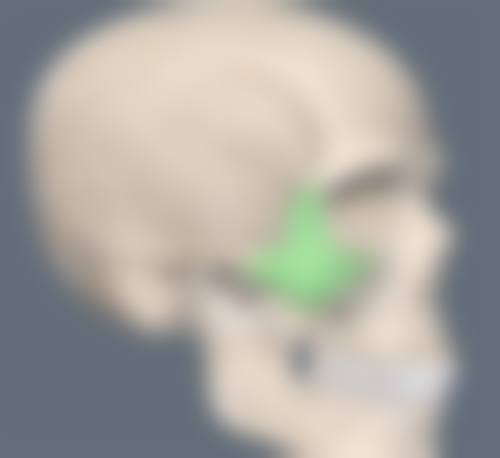 一、怎样修复脸部烧伤疤痕之疤痕评估与修复思路