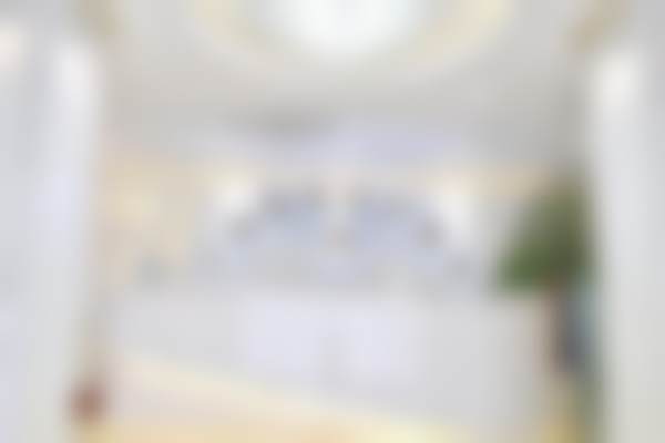 二、马秀伟擅长项目