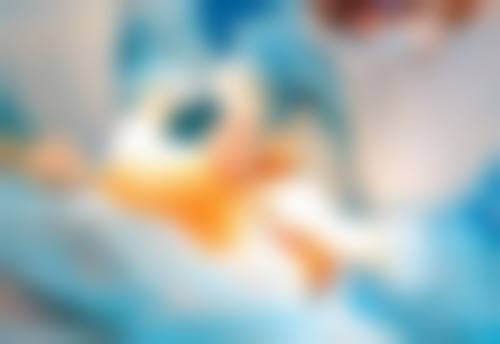 三、不同治疗方案的适用阶段和成效