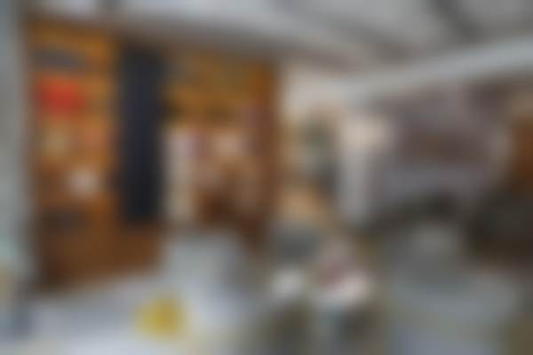 二、张进擅长项目