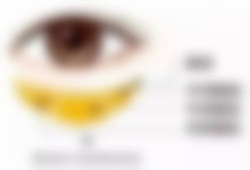 三、雷壮技术优势