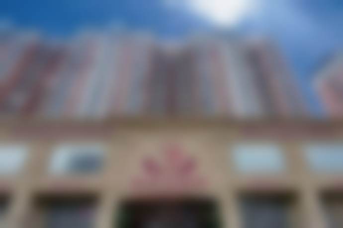 二、陈柏纯擅长项目