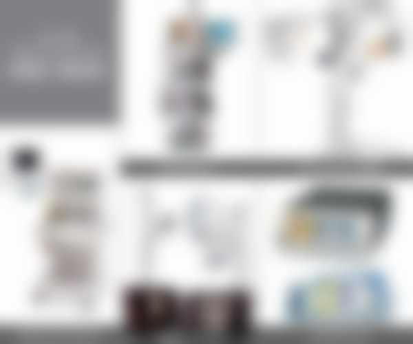 二、崔恩庆擅长项目