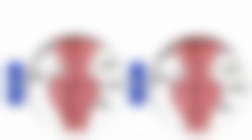 五、图片示例展示