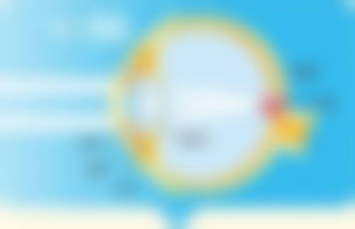 四、日常护理辅助建议