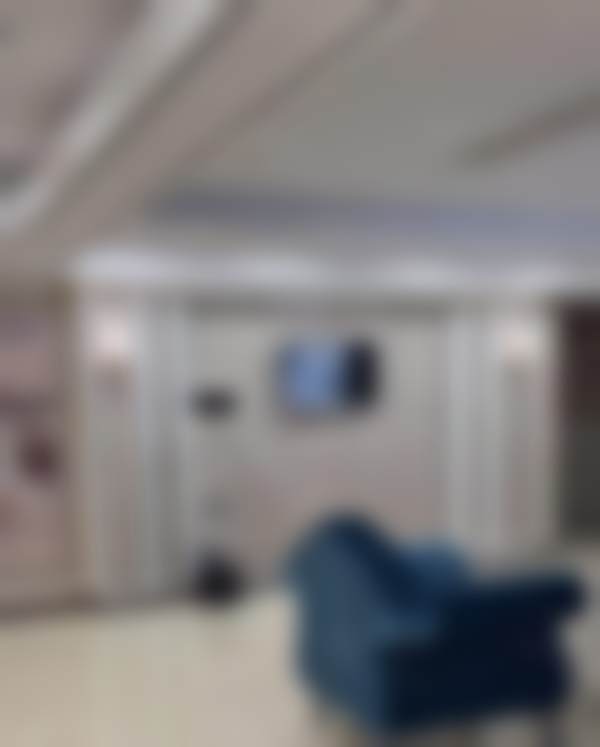 三、刘合乐技术优势