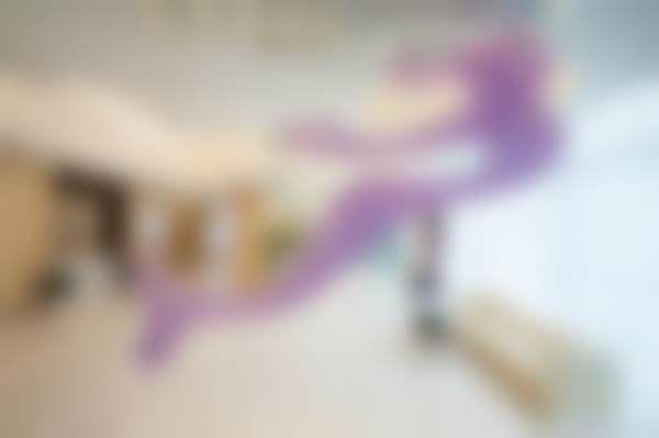 三、孙海静技术优势