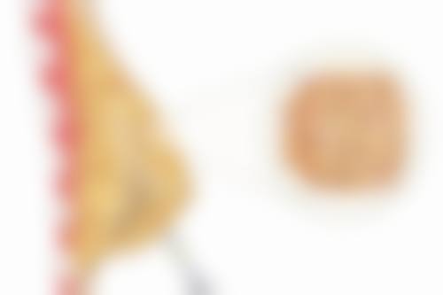 二、侯祚琼擅长项目