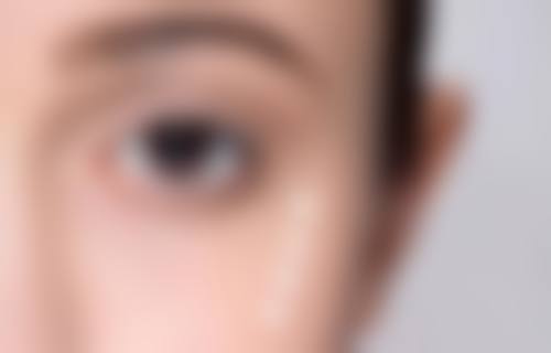 三、王连梅技术优势