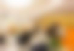 四、杨佩瑛收费价格表