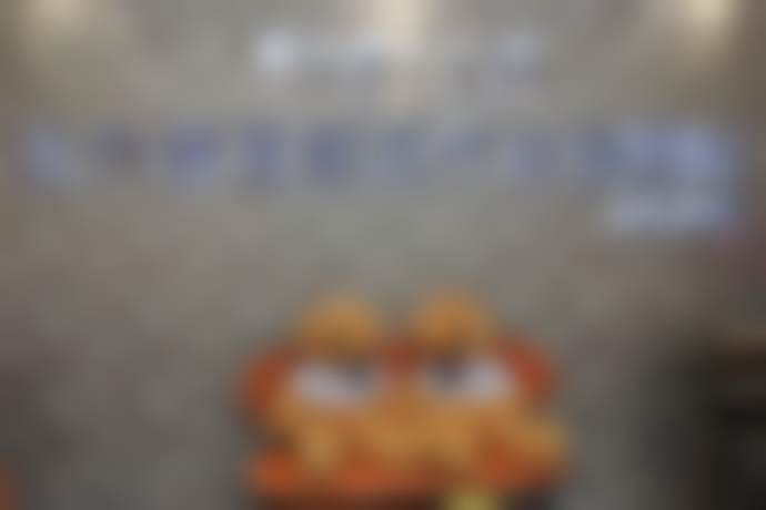 三、贾淇媛技术优势