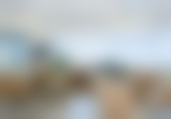 二、胡志奇擅长项目