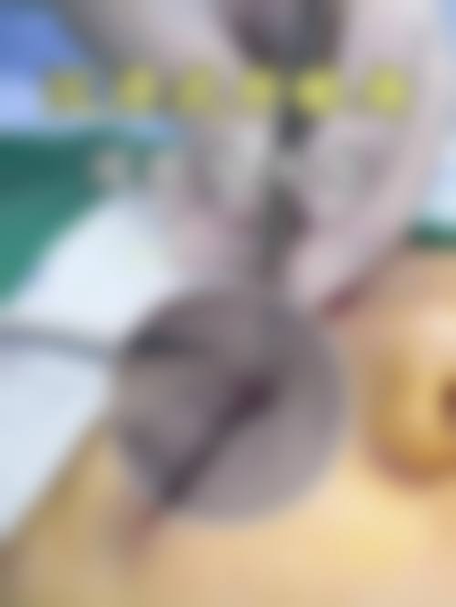 三、阮姝婕技术优势