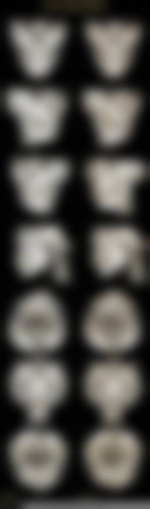 五、西安医疗美容外科(马平整形)医生介绍