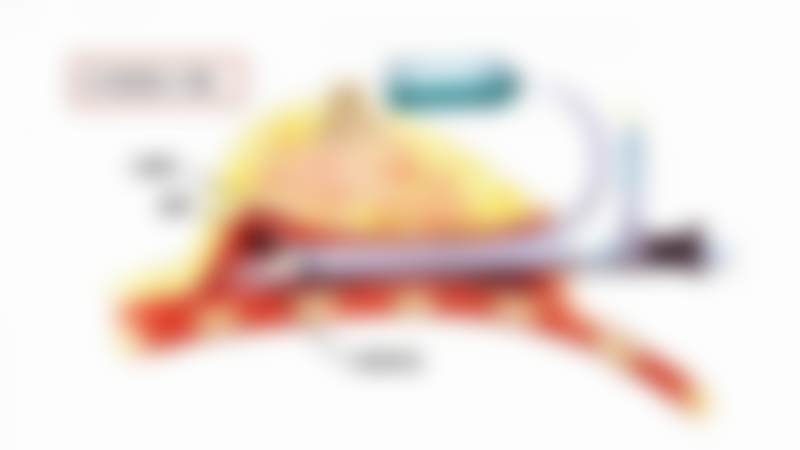 二、杜如擅长项目