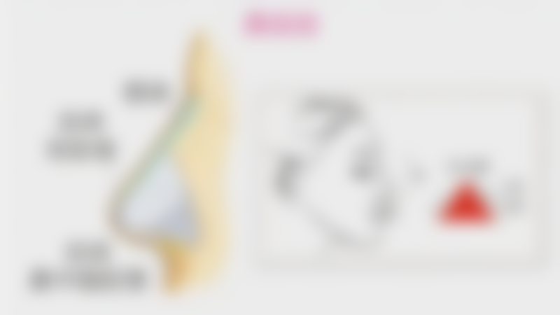 四、杜如收费价格表