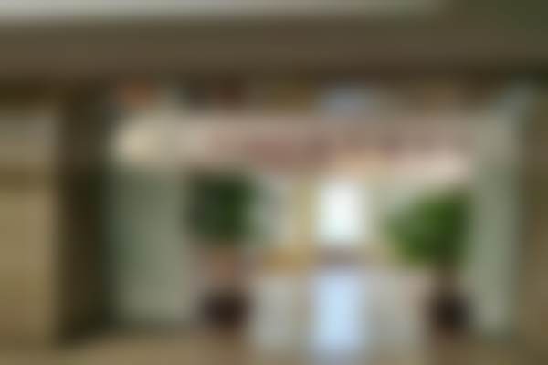 二、吴细轻擅长项目