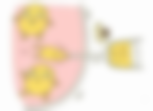 三、苹果肌太大可以打瘦脸针吗