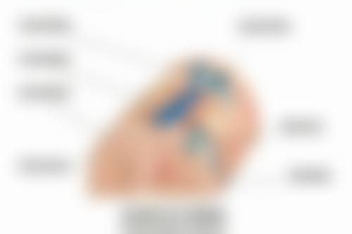 六、保持积极心态