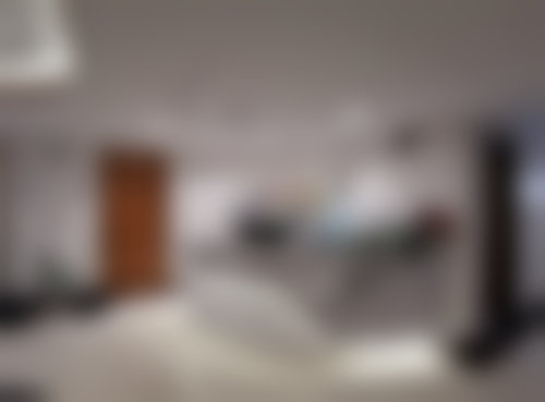 二、曾丽菊擅长项目