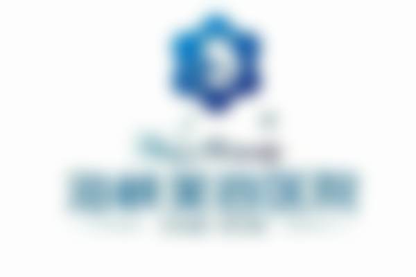 二、张光泽擅长项目