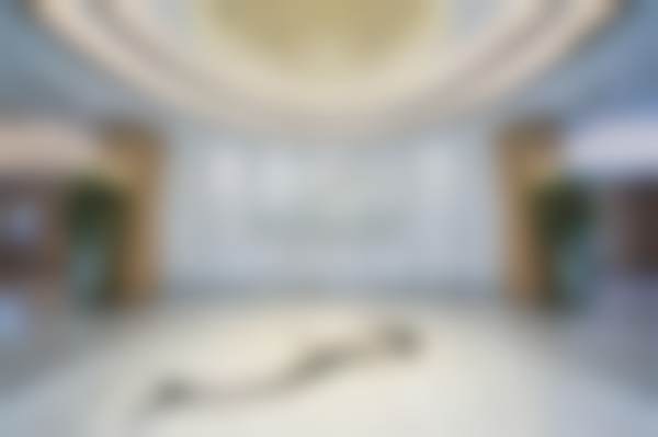 二、徐平擅长项目