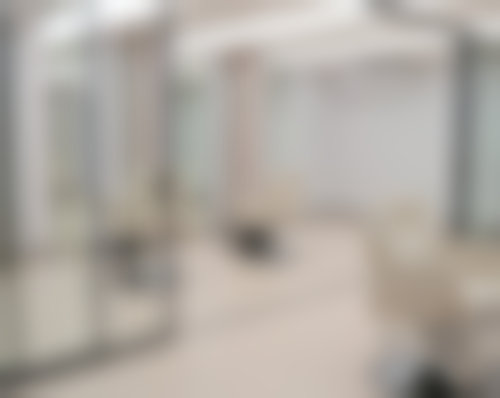 二、周振华擅长项目