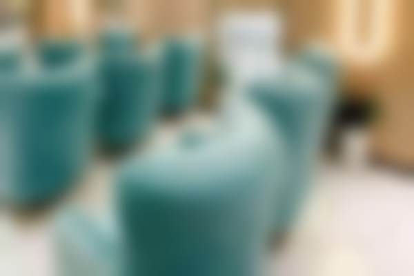 六、上海维莎医疗美容门诊部价格表