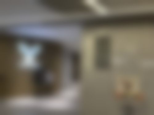 四、上海慕羽医疗美容门诊部(媛音医美)特色项目