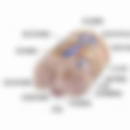 三、医疗治疗选项