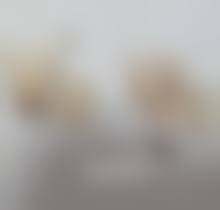 五、美学提示及注意事项