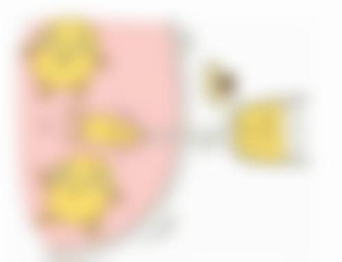 四、双眼皮内眼角修复的成效评估