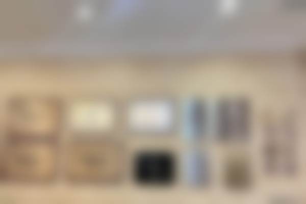 二、胡俊擅长项目