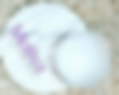 三、隆鼻后的饮食注意事项