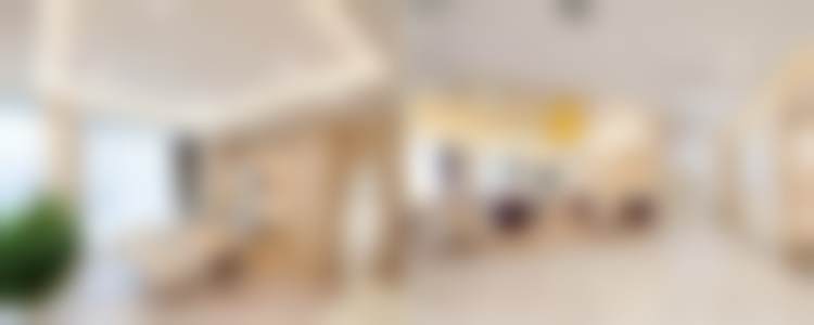 二、朴一飞擅长项目