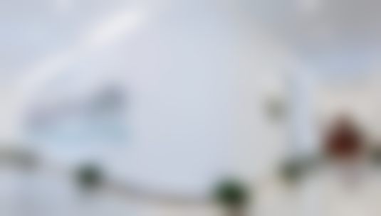 五、医院项目与王自谦医生相关情况