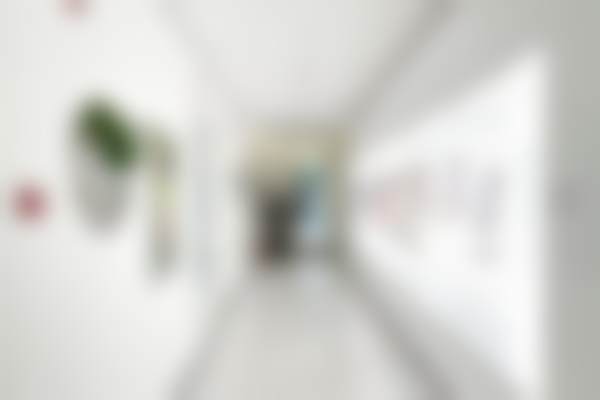 二、王自谦医生简介