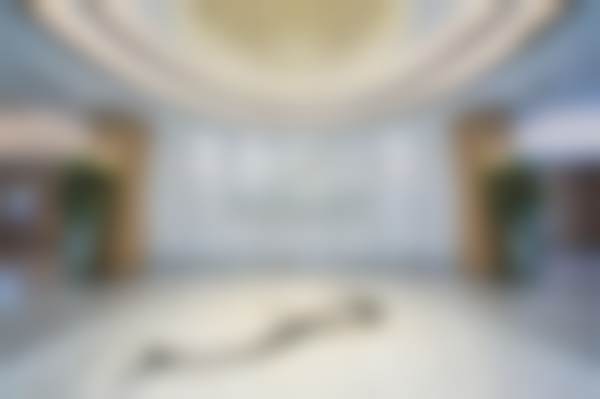 五、张歌怎么预约？