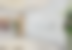 二、柏宁擅长项目