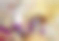 二、罗碧强擅长项目