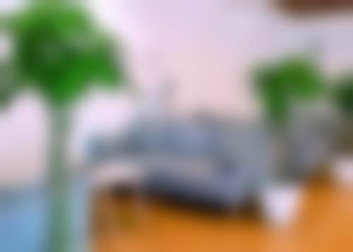 三、赵院长技术优势