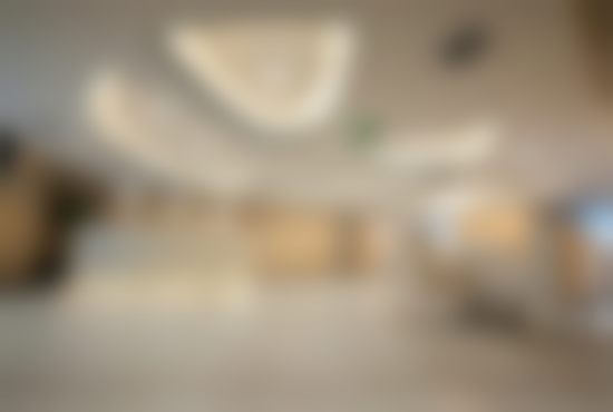 三、黄竞男技术优势