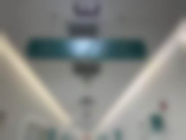 五、沈阳北方整形外科医院相关项目