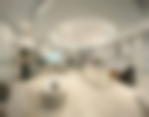 五、上海德琳医疗美容医院（韩国Dream分院）其他医生介绍