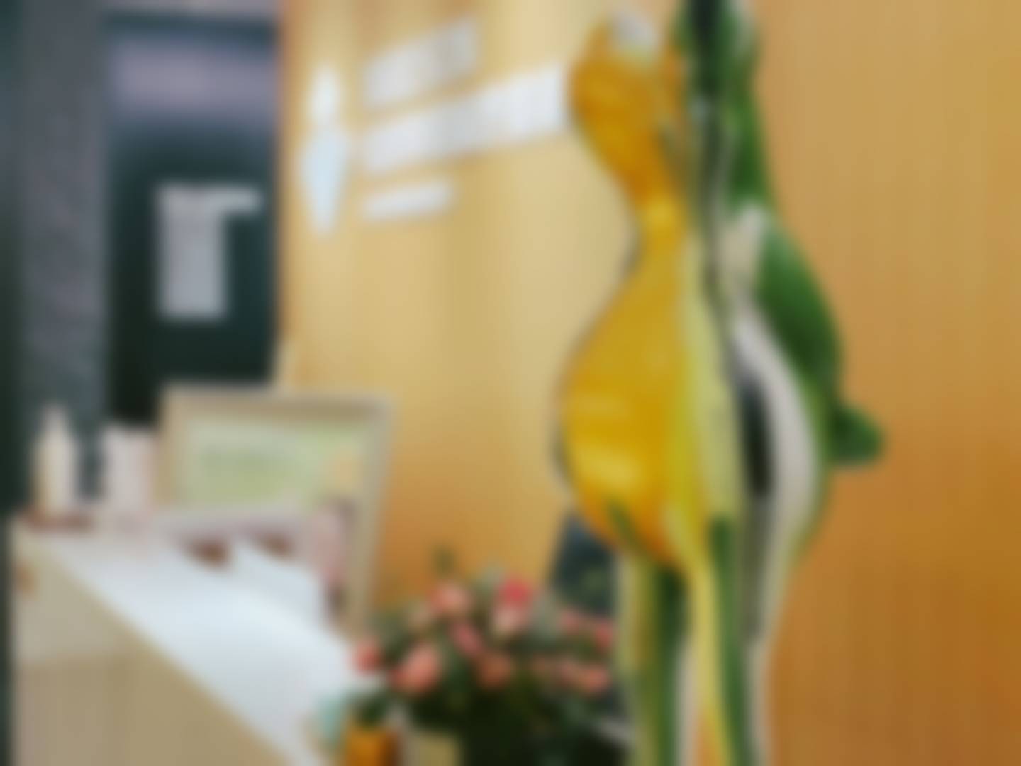 三、杭州华美禧善医疗美容诊所诊疗项目有哪些？