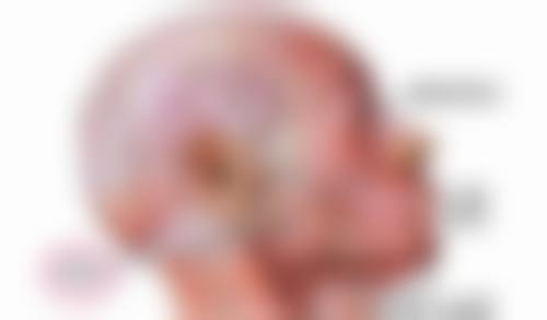 一、吸脂手术有什么后遗症之术后出血感染
