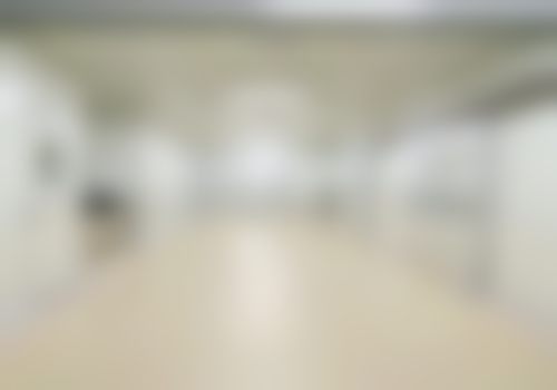 三、彭琴技术优势