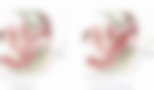 三、影响隆鼻硅胶危害的因素