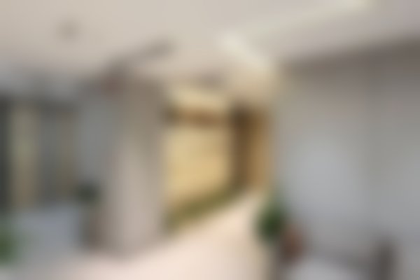 二、罗焕琴擅长项目