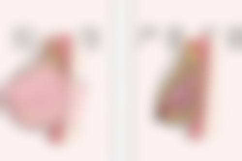 二、桂新文擅长项目